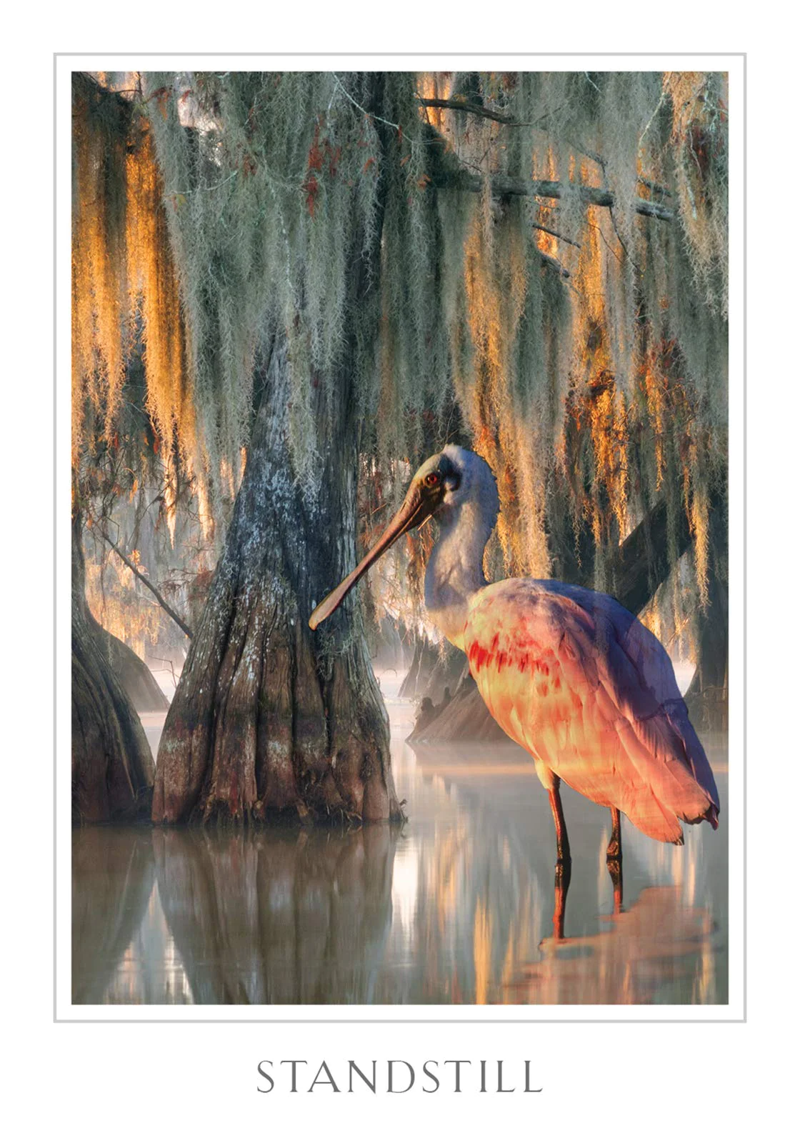 Sacred Destiny Oracle Cards